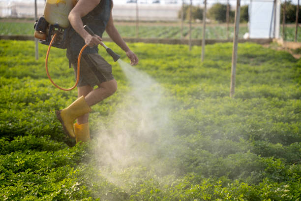 Best Best Pest Control Near Me  in Orange, VA