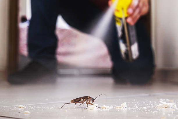 Trusted Orange, VA Pest Control Experts
